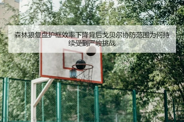 森林狼复盘护框效率下降背后戈贝尔协防范围为何持续受到严峻挑战